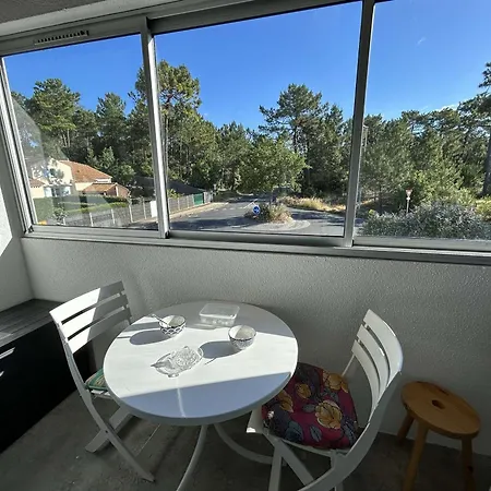 Apartmán T2 A 1200m De La Avec Balcon, Parking Prive Et Menage Inclus A - Fr-1-224c-312