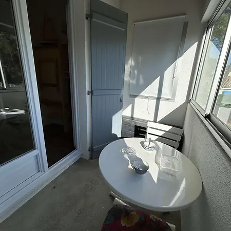 公寓 T2 A 1200m De La Avec Balcon, Parking Prive Et Menage Inclus A - Fr-1-224c-312