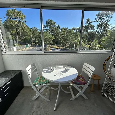 T2 A 1200m De La Avec Balcon, Parking Prive Et Menage Inclus A - Fr-1-224c-312 * 圣让-德蒙