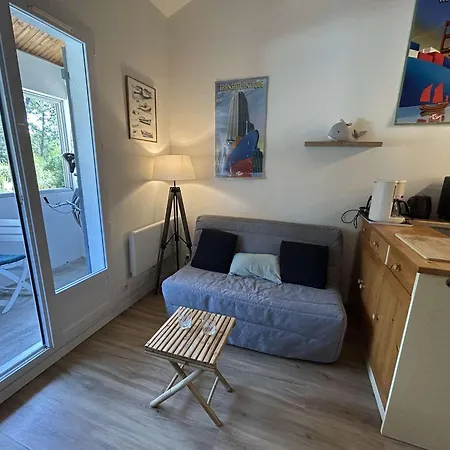 T2 A 1200m De La Avec Balcon, Parking Prive Et Menage Inclus A - Fr-1-224c-312 圣让-德蒙